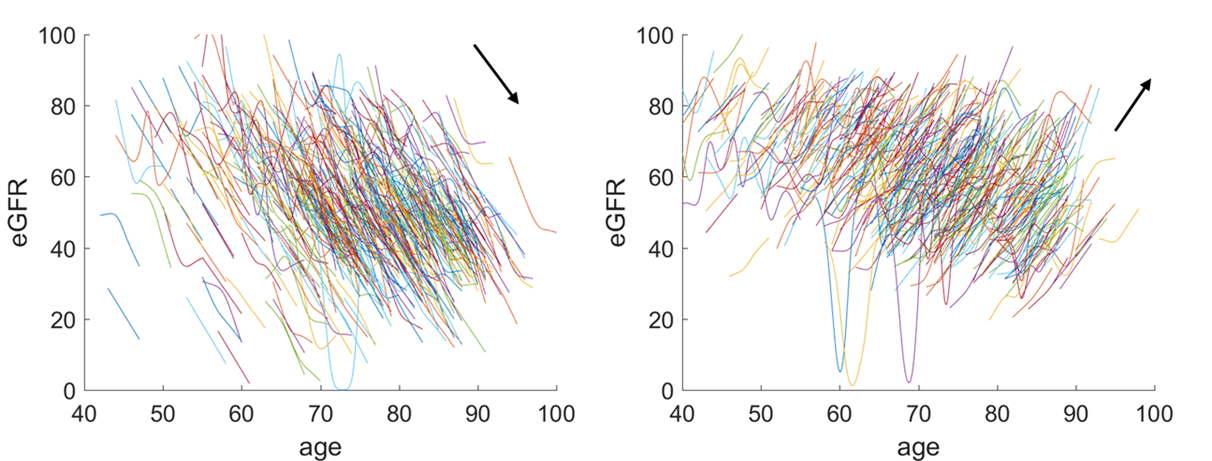 eGFR hierarchical modelling